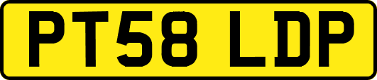 PT58LDP