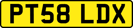 PT58LDX