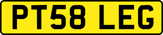 PT58LEG