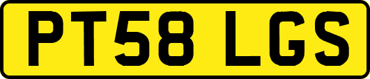 PT58LGS
