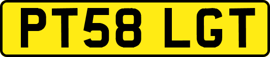 PT58LGT
