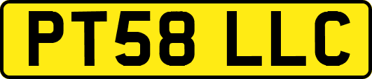 PT58LLC