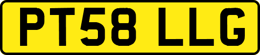 PT58LLG