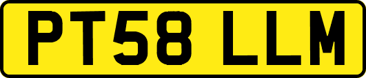 PT58LLM