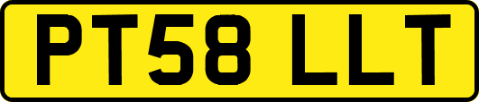 PT58LLT