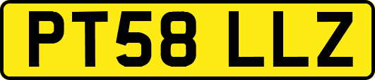 PT58LLZ