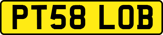 PT58LOB