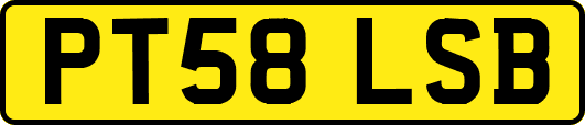 PT58LSB
