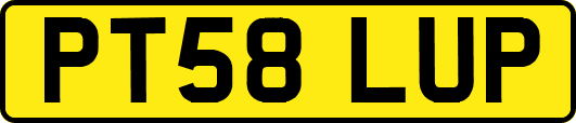PT58LUP