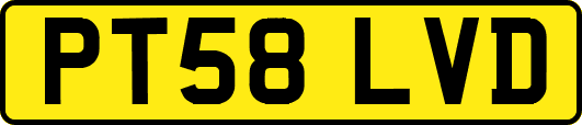 PT58LVD