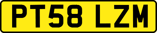 PT58LZM