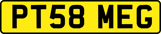PT58MEG