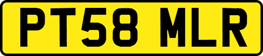 PT58MLR