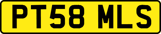 PT58MLS