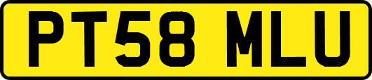 PT58MLU