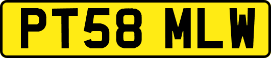 PT58MLW