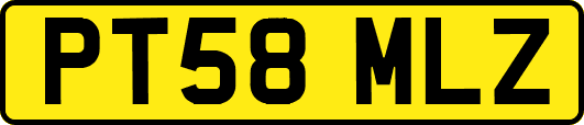 PT58MLZ