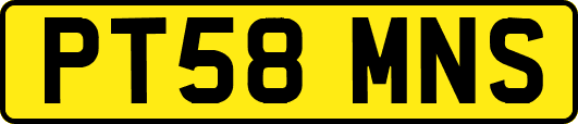 PT58MNS