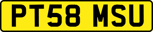 PT58MSU