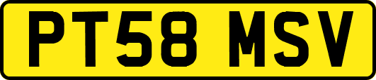 PT58MSV
