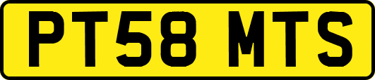 PT58MTS
