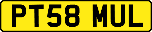 PT58MUL