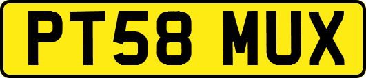 PT58MUX