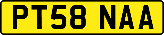 PT58NAA