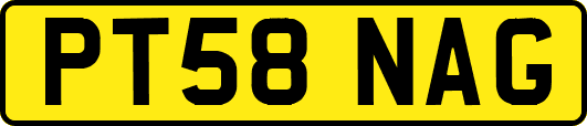 PT58NAG