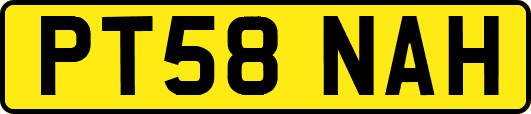 PT58NAH