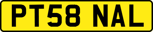 PT58NAL