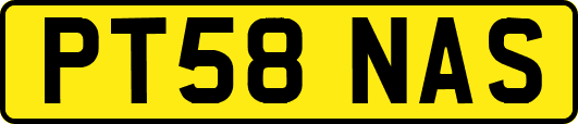 PT58NAS