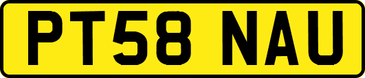 PT58NAU