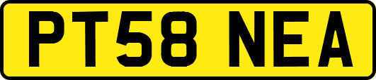 PT58NEA
