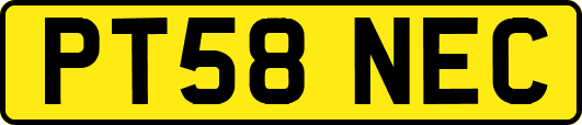 PT58NEC