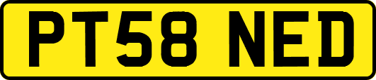 PT58NED