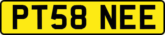 PT58NEE