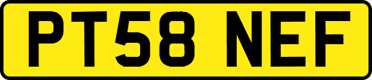 PT58NEF