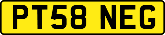 PT58NEG