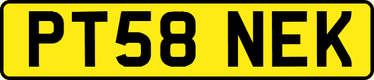 PT58NEK