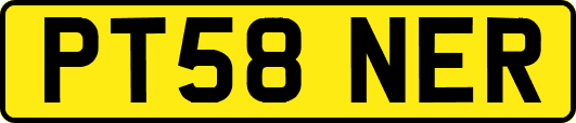 PT58NER