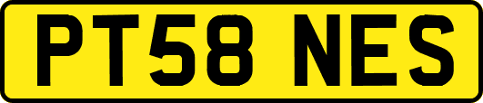 PT58NES