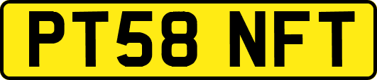PT58NFT