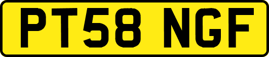 PT58NGF