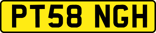 PT58NGH