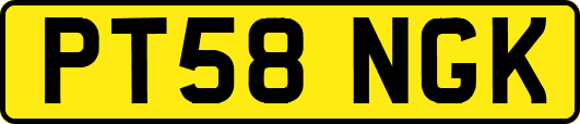 PT58NGK