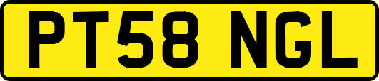 PT58NGL