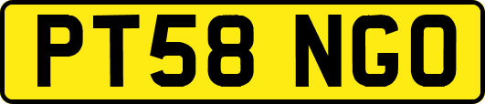 PT58NGO