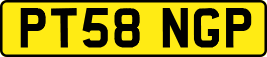 PT58NGP