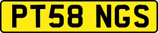PT58NGS